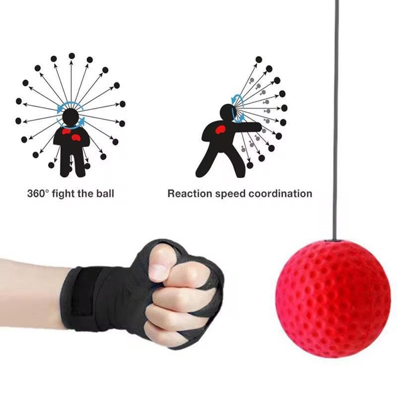 Boxing Speed Ball - Core Dynamic Fitness